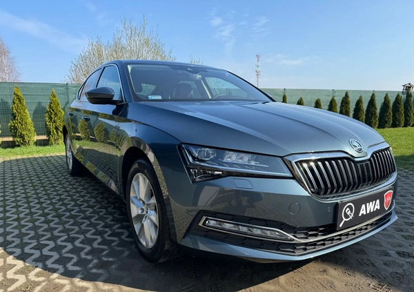 Skoda Superb cena 124900 przebieg: 50000, rok produkcji 2019 z Bełchatów